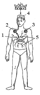 Эниология img_126.png