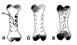 Эниология img_128.png