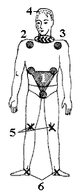 Эниология img_130.png
