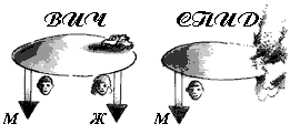 Эниология img_131.png