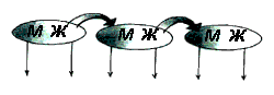 Эниология img_133.png