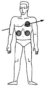 Эниология img_139.png