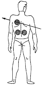 Эниология img_140.png