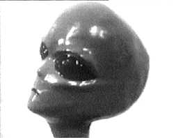 Эниология img_33.png