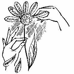 Эниология img_1.png