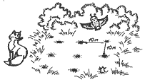 Эниология img_47.png