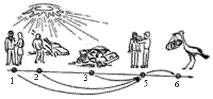Эниология img_64.png