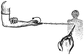 Эниология img_69.png