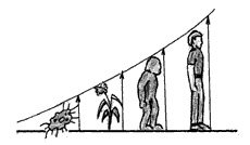 Эниология img_71.png