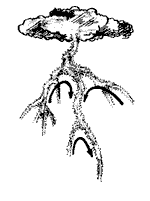 Эниология img_74.png