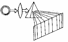 Эниология img_3.png