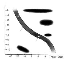 Эниология img_5.png