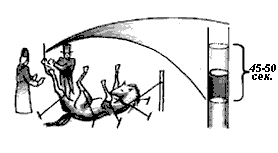 Эниология img_84.png