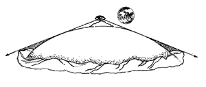 Эниология img_93.png