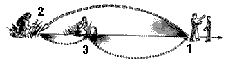 Эниология img_105.png