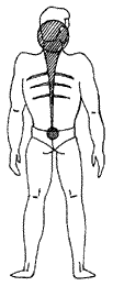 Эниология img_111.png