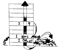 Эниология img_119.png