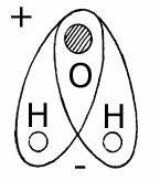 Эниология img_18.png