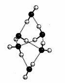 Эниология img_21.png