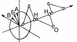 Эниология img_23.png