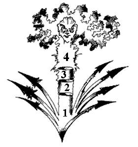 Эниология img_123.png
