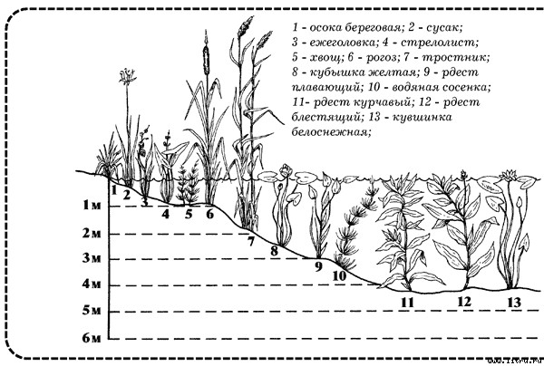Настольная книга подводного охотника i_018.jpg