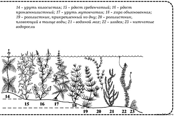 Настольная книга подводного охотника i_019.jpg