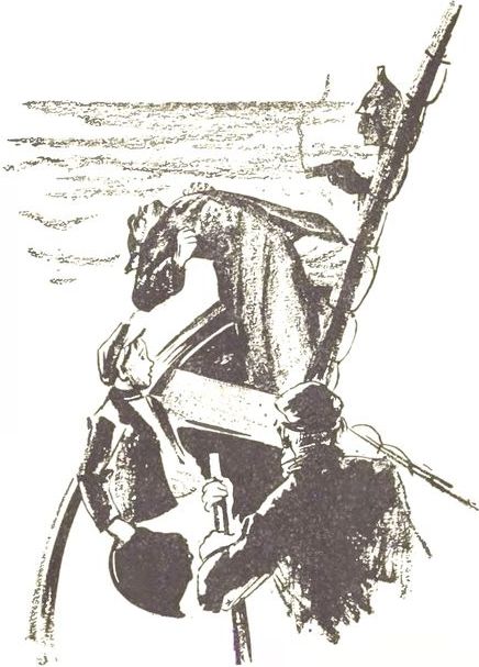 i_004.jpg