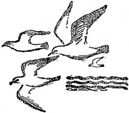 i_005.jpg