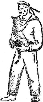i_010.jpg