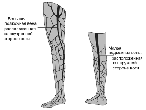 Все о здоровье ваших ног. От младенчества до старости pic_3.png