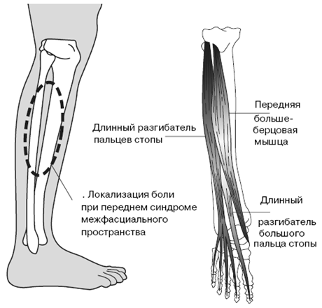 Все о здоровье ваших ног. От младенчества до старости pic_15.png