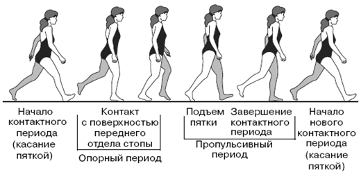 Все о здоровье ваших ног. От младенчества до старости pic_4.png