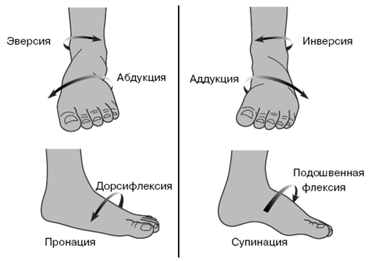 Все о здоровье ваших ног. От младенчества до старости pic_5.png
