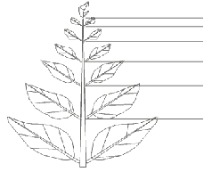 Число и культура pic_38.png
