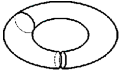 Число и культура pic_59.png