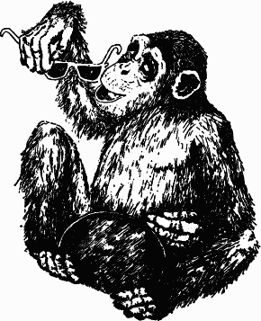 Обезьяны, человек и язык p096_1.png