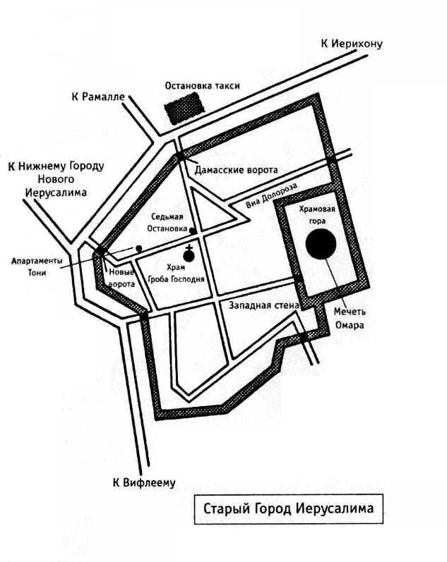 Наркосвященник plan1.jpg