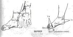 Энергетическая медицина _29.jpg
