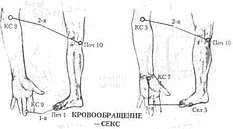 Энергетическая медицина _30.jpg