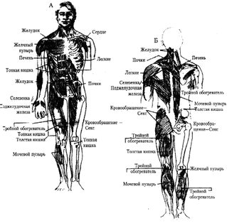 Энергетическая медицина _53.jpg