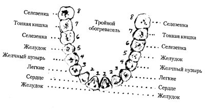 Энергетическая медицина _54.jpg