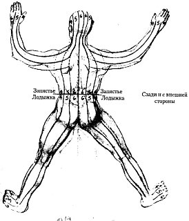 Энергетическая медицина _58.jpg