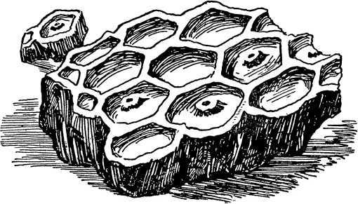 О смелой мысли i_050.jpg