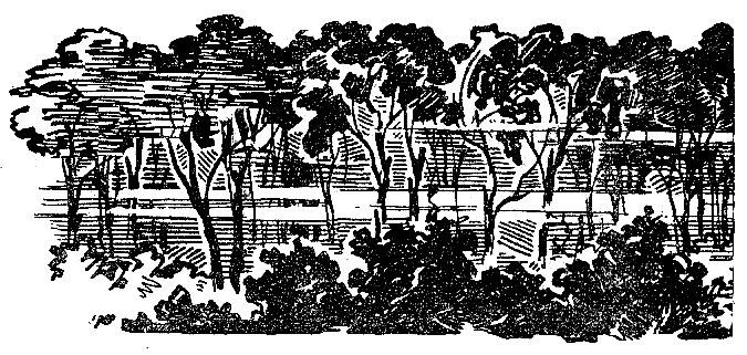 Искатель. 1967. Выпуск №3 i_005.png
