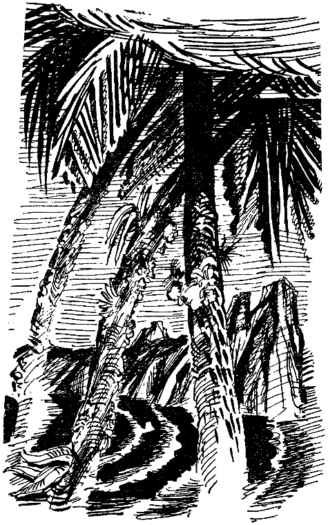 Искатель. 1972. Выпуск №1 i_021.png