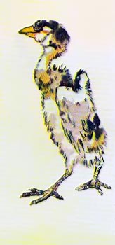 Корейские народные сказки i_038.jpg