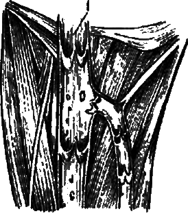 Активное долголетие (Моя система борьбы со старостью) _5.png