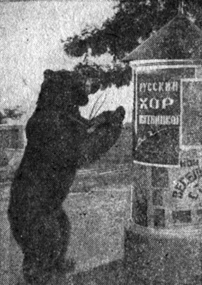 На арене с Гошей _000048.jpg