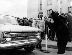 На арене с Гошей cirk_4.jpg